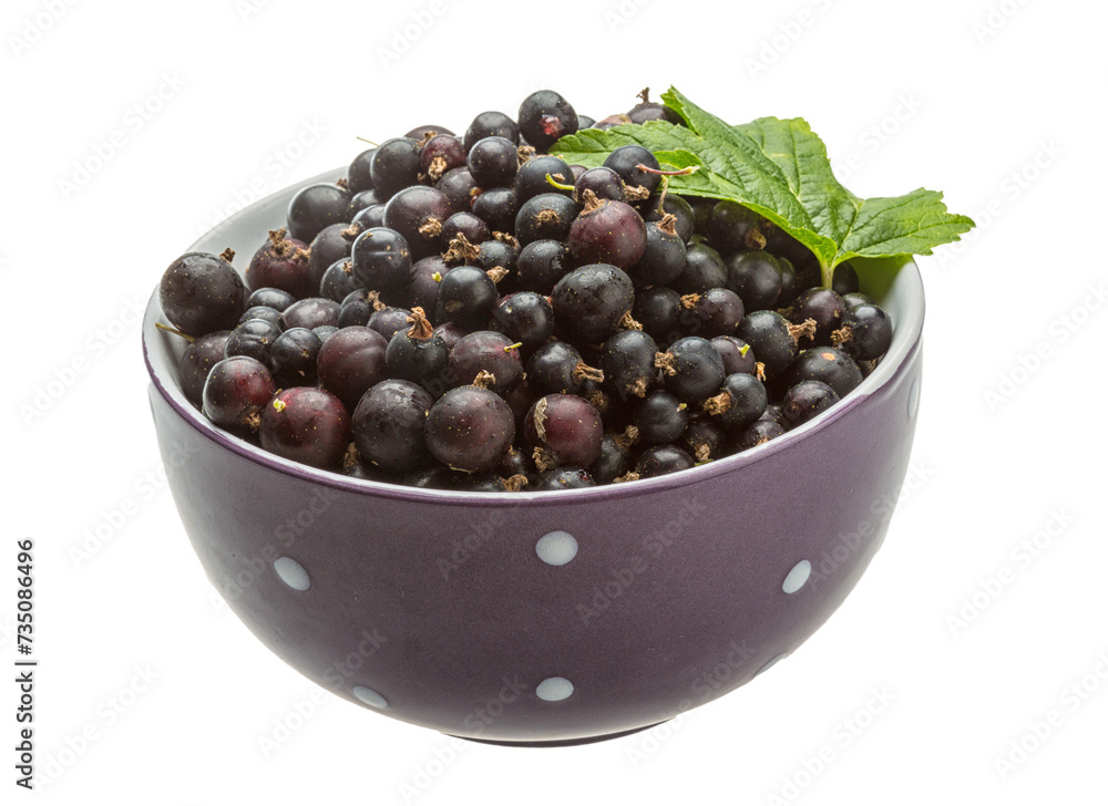Black currant Black currant
