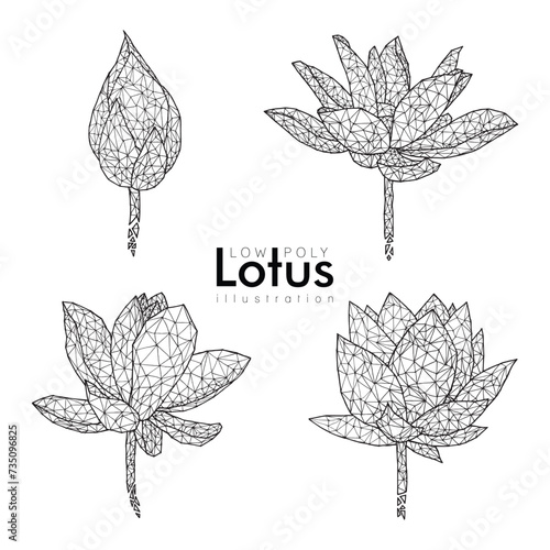 Low Poly Line Lotus Flower set, Hand Drawn Illustration, Isolated Vector