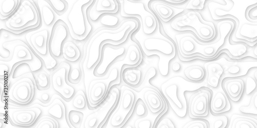 white paper and relief wave and cruve line paper cut background. soft white color seamless pattern, vector illustration, multi layer cutout banner design. topo counter map in 3d view.