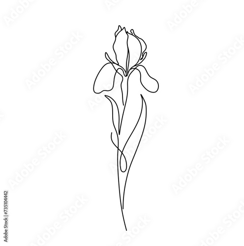 Vector isolated one single beautiful iris flower contemporary line art colorless black and white contour line easy drawing