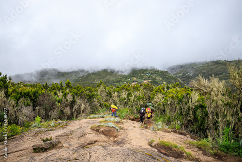 Hikers Amidst Nature, Under the Cloudy Sky