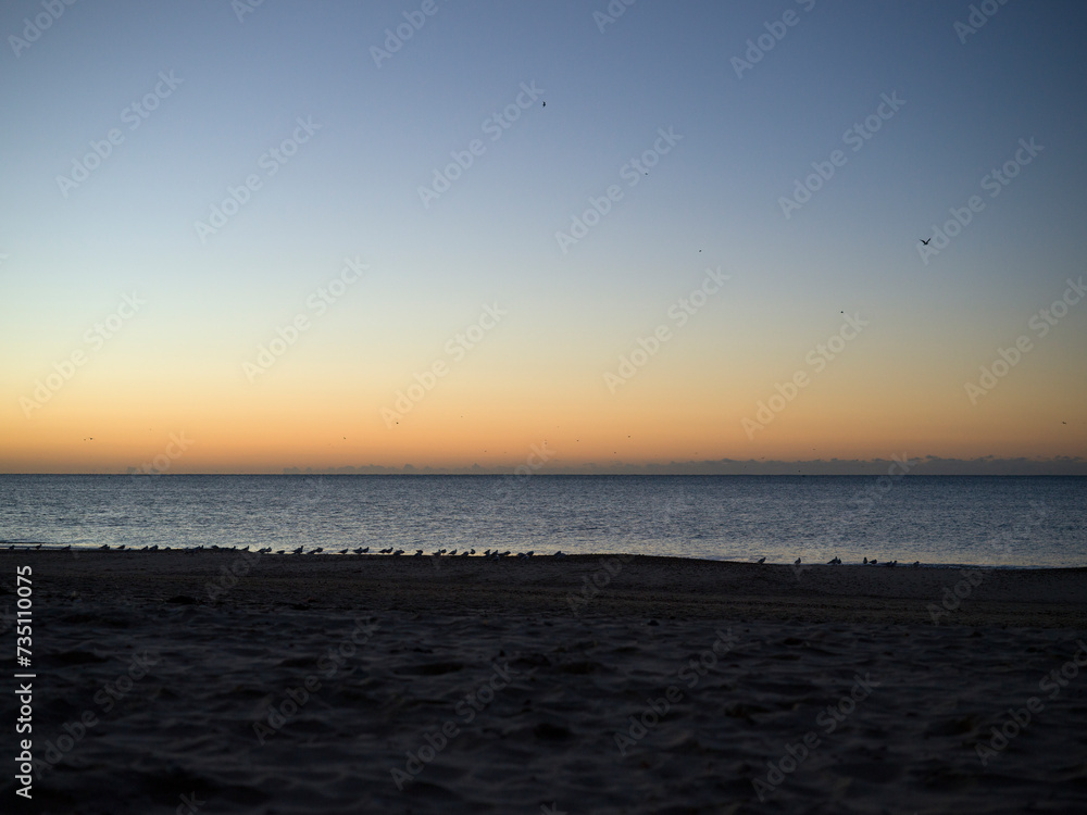Birds on Dawn Shoreline taken at Blue Hour on a clear crisp cold December dawn. Birds on Dawn Shoreline taken at Blue Hour on a clear crisp cold December dawn.