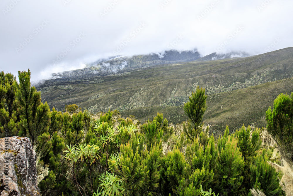 Fototapeta premium Mystic Mountain Landscape Amidst the Clouds in Mt. Kilimanjaro Machame Route