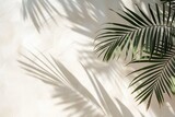 Palm leaf shadows on light beige wall background