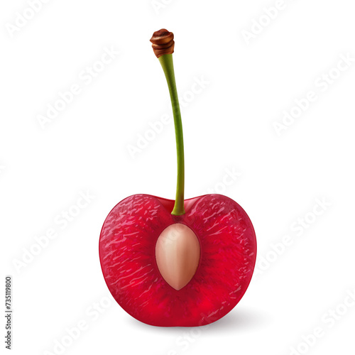 A single re cherry on its stem, cut in half with the pit exposed, illustration on a white backdrop