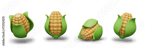 Cob of corn with green leaves. Sweet young corn, fresh vegetable for healthy diet