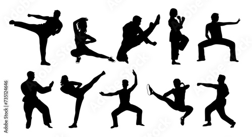 Martial art training male, female silhouettes set. People doing asian martial art exercises. Vector black illustrations isolated on transparent background. Karate, judo, tai chi, taekwondo sport. photo