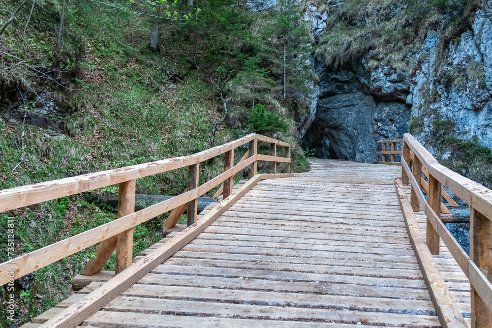 Obraz premium Wooden bridge through Foelzklamm along scenic hiking trail to Foelzkogel in idyllic Hochschwab mountain region, Styria, Austria. Majestic gorge in remote Austrian Alps. Wanderlust in alpine summer