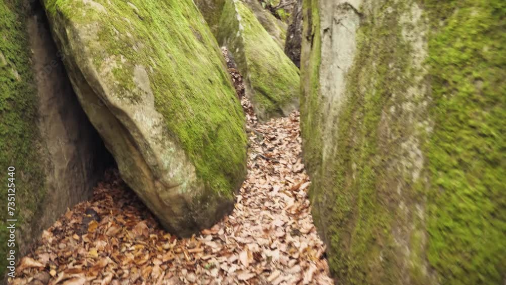 Narrow stone gorge with fallen leaves below. The camera moves along the gorge. The rocks at the edges and in front are covered with moss Narrow stone gorge with fallen leaves below. The camera moves along the gorge. The rocks at the edges and in front are covered with moss
