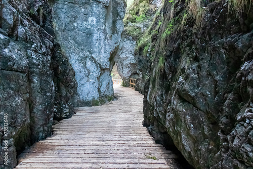 Wooden bridge through Foelzklamm along scenic hiking trail to Foelzkogel in idyllic Hochschwab mountain region, Styria, Austria. Majestic gorge in remote Austrian Alps. Wanderlust in alpine summer photo