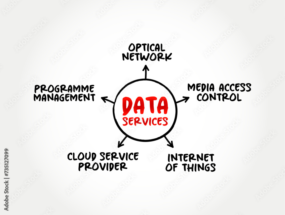 Data Services - self-contained units of software functions that give data characteristics it doesn't already have, mind map text concept background