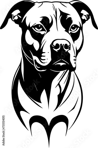 Vector illustration of a pitbull dog head, black tattoo design photo