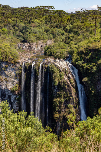 Vegetation, Arauracia trees and waterfall in Itaimbezinho Canyon