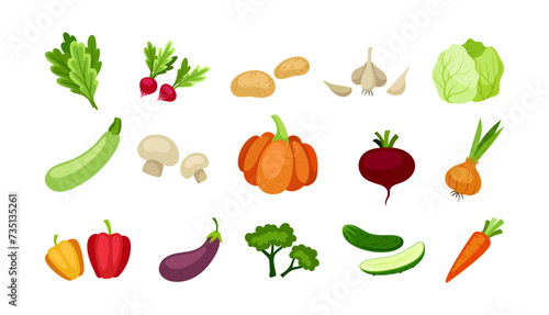 Different food icons set. Juicy vegetables. Pumpkin, cucumber, cabbage and carrot. Healthy and fresh eating. Poster or banner. Cartoon flat vector collection isolated on white background
