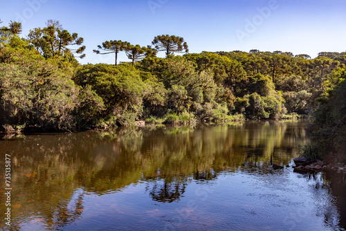 River with Araucaria forest around