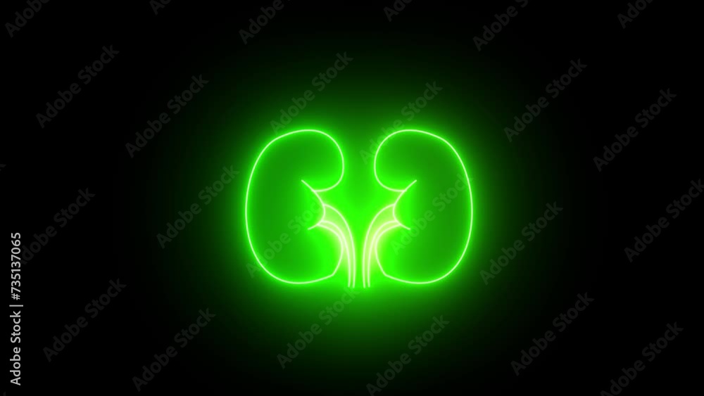 The appearance of neon symbol kidneys. Elements of Medicine in neon style icons. 4k. The appearance of neon symbol kidneys. Elements of Medicine in neon style icons. 4k.