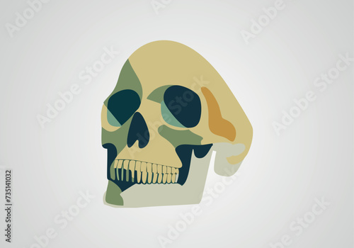 The skull icon. Black silhouette of a human skull. Vector illustration isolated on a white background for design and web.