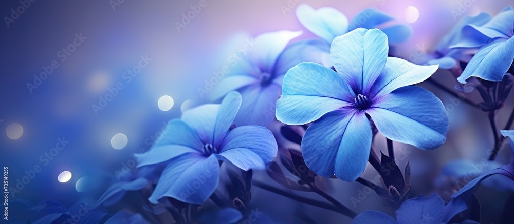 Mesmerizing macro capture of delicate blue periwinkle flowers showcasing their intricate beauty and vibrant hues. Creative Banner. Copyspace image