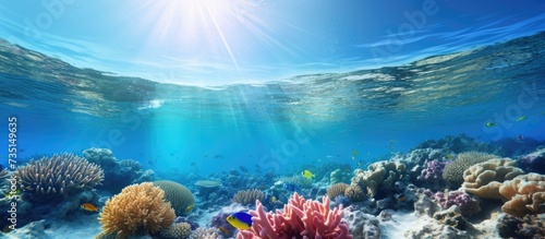 Marine pollution on corals underwater in the tropical coral reef of the Red Sea. Creative Banner. Copyspace image photo