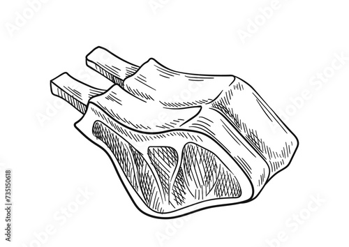 Meat product linear. Hand drawn sketch of beef and pork. Natural and organic product. Health eating with protein. Poster or banner. Outline flat vector illustration isolated on white background