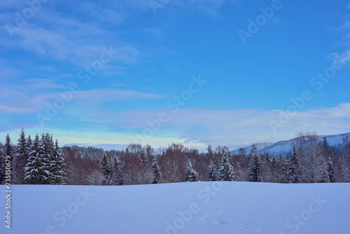 Winter of rural Toten, Norway, by the Krabyskogen Forest.