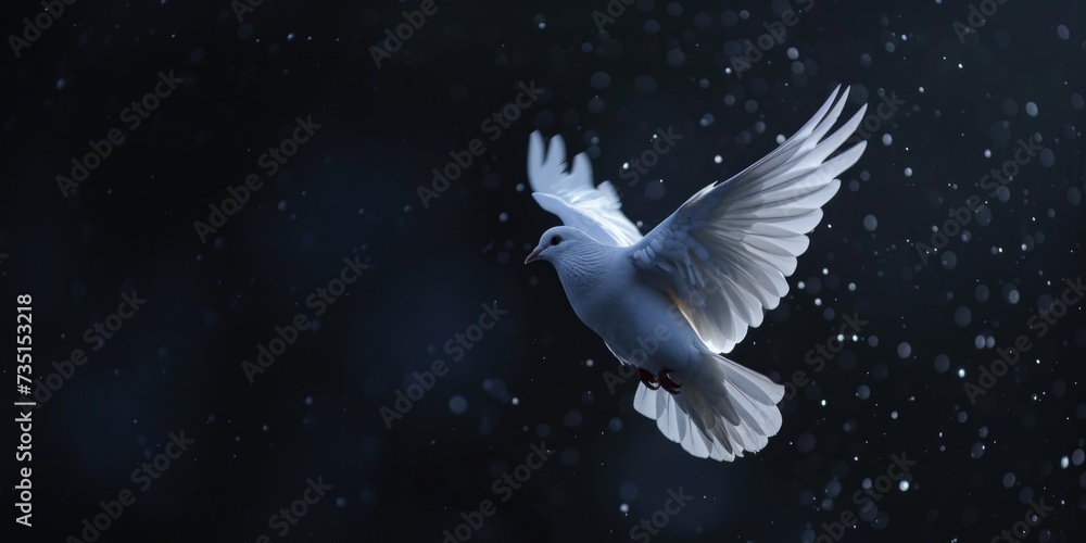 Fototapeta premium A beautiful white bird soaring through the air in a snowy landscape. Perfect for winter-themed designs or nature illustrations