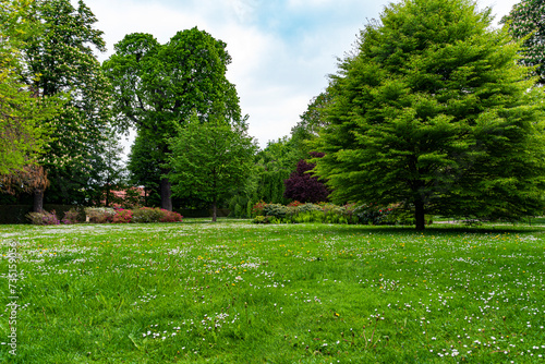 Early springtime morning at a beautiful park with plenty of greens. Landscape background and wallpaper.