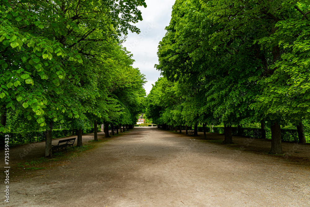 Walkway in the park with lush greenery in the springtime. Landscape background and wallpaper.