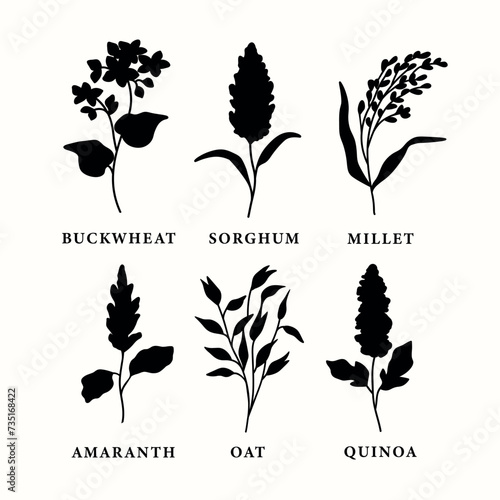 Collection of flat vector grains and cereals