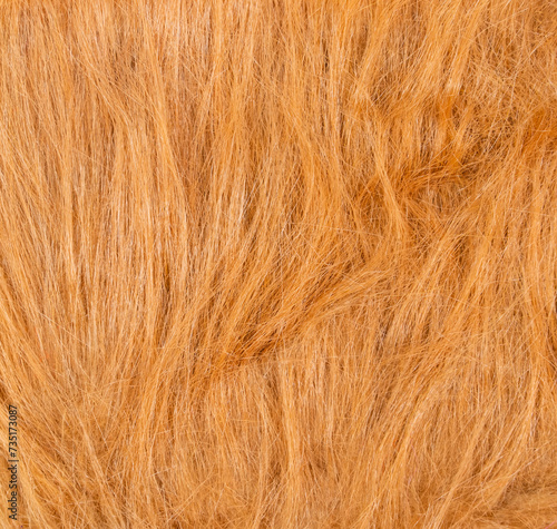  Long haired dog fur background