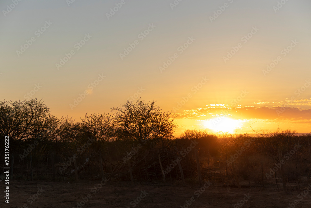 Amanhecer na caatinga Amanhecer na caatinga