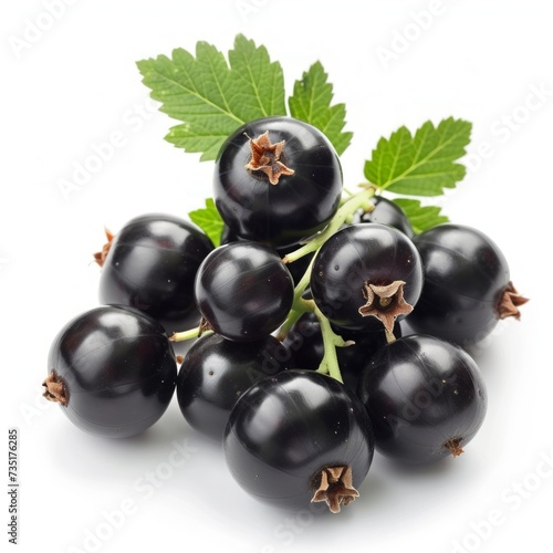 Beautiful black currant berries isolated on white background