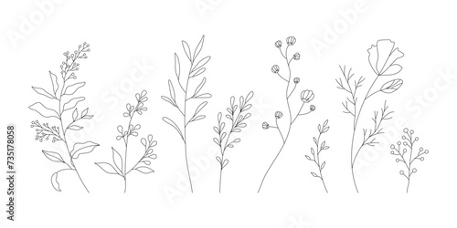 Hand drawn wild field flora, flowers, leaves, herbs, plants, branches. Minimal floral botanical line art. Vector illustration for logo or tattoo, invitations, save the date card. 