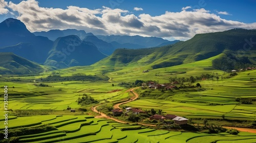 coffee farm brazil