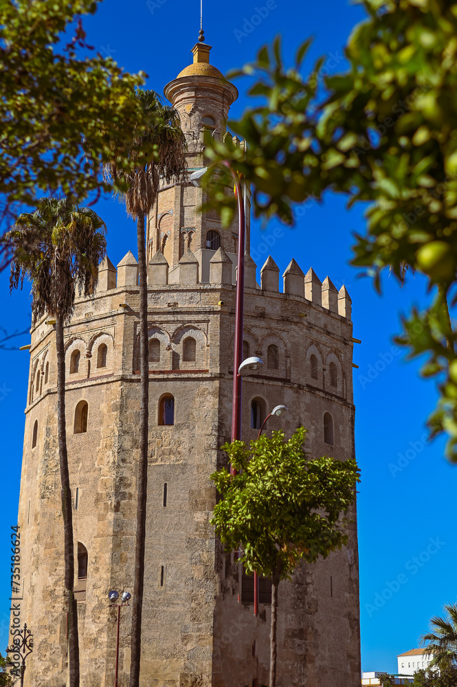 Tower and Palms