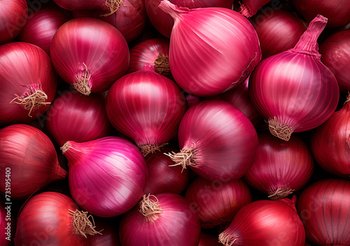Red onion texture, top view
