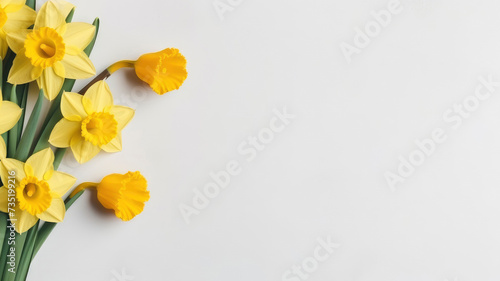 Spring composition of flowers daffodil bouquet, top view with space for copy space white background photo
