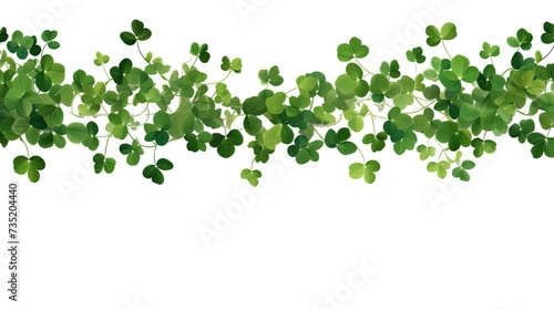 Jungle vine hanging ivy plant bush with clipping path