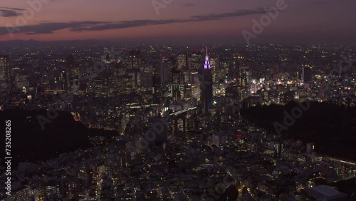Tokyo aerial evening 