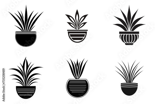 set of silhouettes of plants in a pot vector illustration isolated transparent background logo, cut out or cutout t-shirt design