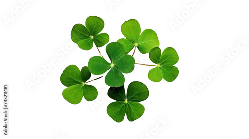 St. Patrick's day, clovers isolated on white background. png