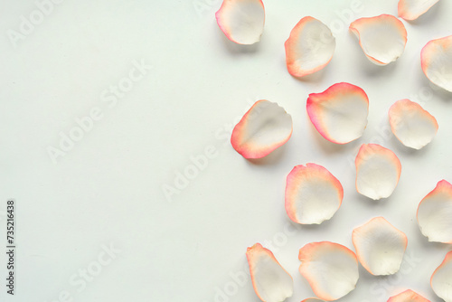 White rose petals on white background. Valentine or wedding abstract background. Love concept