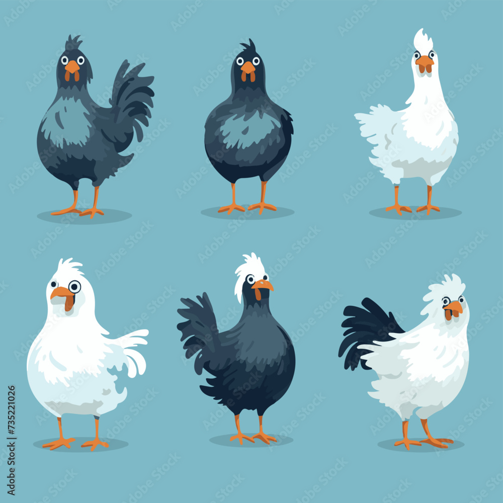 Fototapeta premium vector illustrations of different chicken breeds, showcasing their unique characteristics and features.