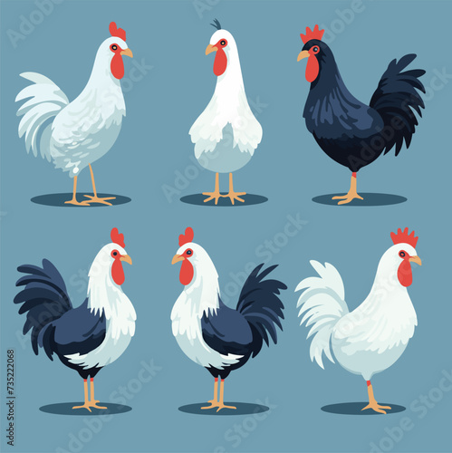 vector illustrations of different chicken breeds, showcasing their unique characteristics and features.
