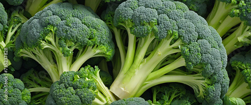 Broccoli on clear background - Creative technology