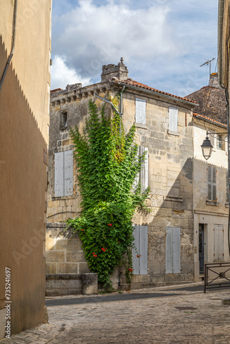 Maison pittoresque du centre ville de Cognac, Charente-Maritime