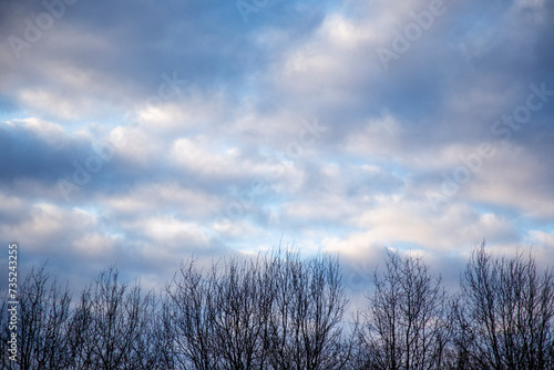 Clouds in the blue sky with bare branches of trees in winter with copy space. beautiful cloudscape at the sunset