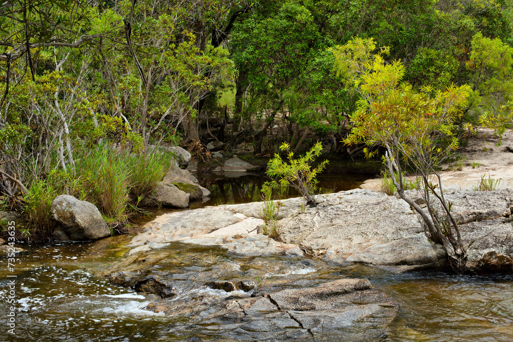 Emerald Creek, Atherton Tablelands, Queensland, Australia Emerald Creek, Atherton Tablelands, Queensland, Australia