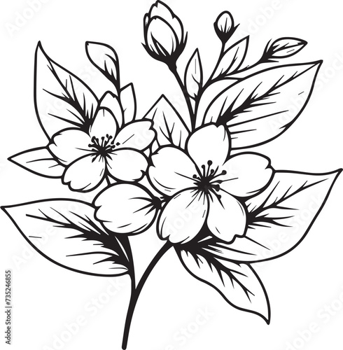 minimalist outline jasmine flower tattoo, black and white jasmine flower drawing, drawing botanical jasmine flower, scientific jasmine botanical illustration, star jasmine botanical illustration