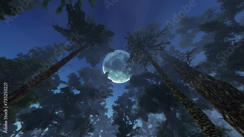 Full moon. Ghostly trees against sky in moonlight. Moon piercing through treetop canopy at night.
Big moon above trees. 3D rendering, animation.